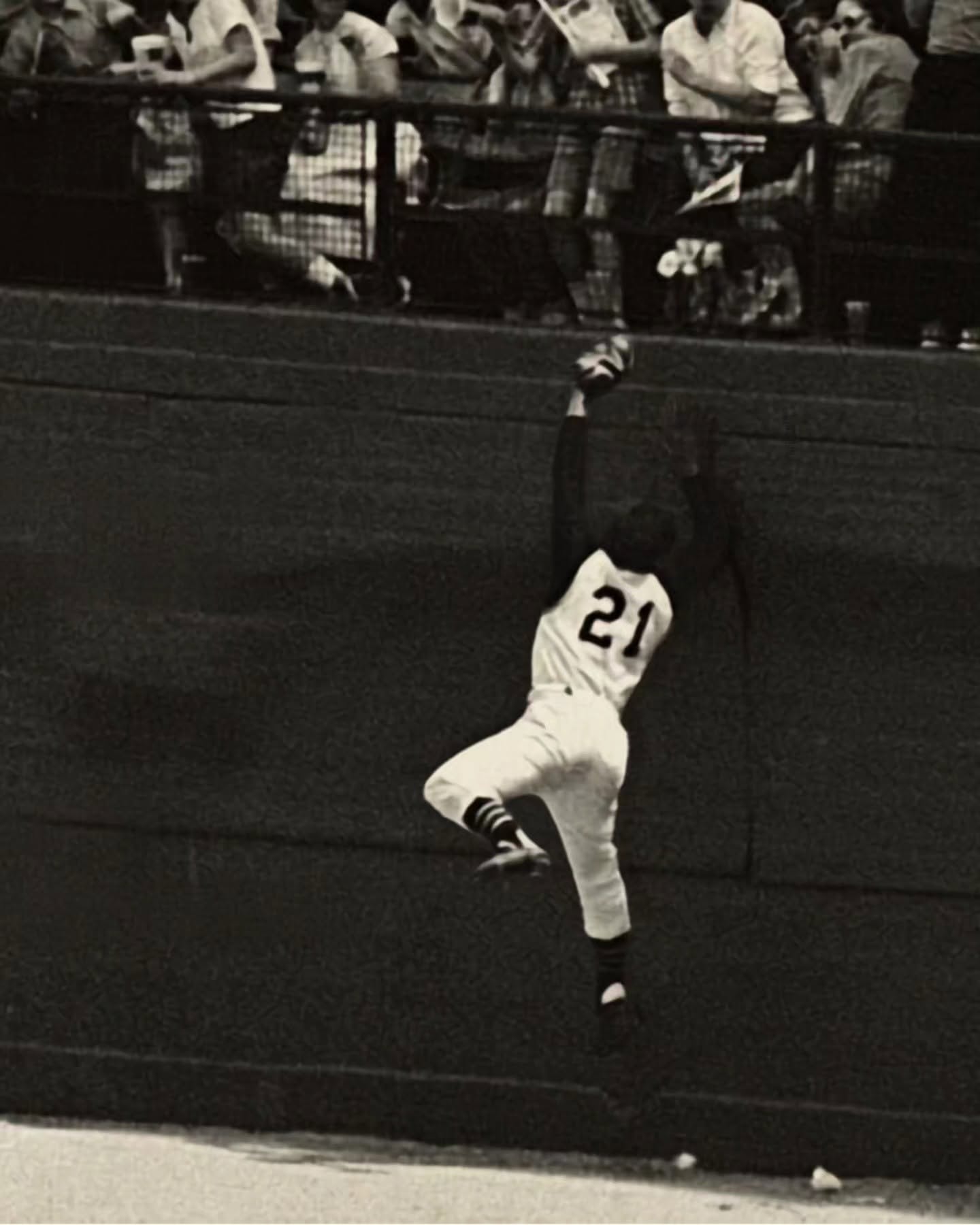 Roberto Clemente No. 21 leaping at the outfield wall to make a catch