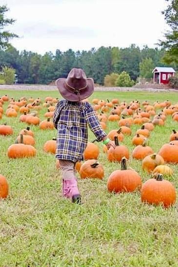 Child in cowboy hat walking through pumpkin field
